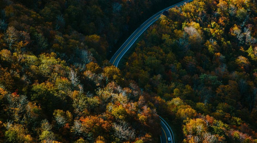 Photo by Ivana Cajina