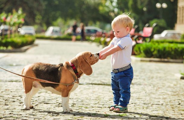 <time datetime="2019-05-20T15:51:14+00:00">May 20, 2019</time> | <a href="https://www.prestondev.com/author/preston-admin/">Preston</a> | <a href="https://www.prestondev.com/category/news/" rel="tag">News</a>